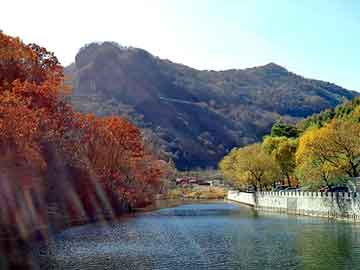 天天彩好彩天天免费，法国拉菲红酒报价